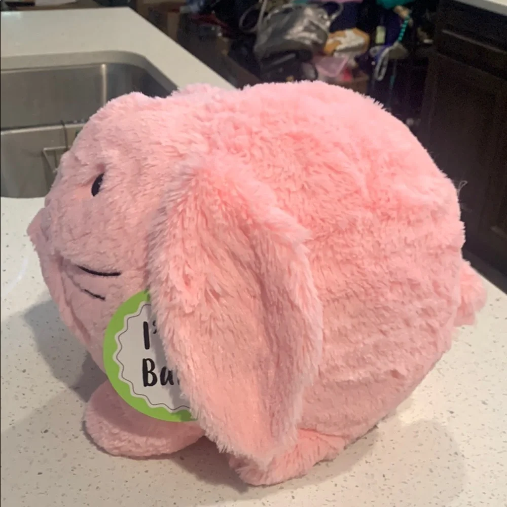 Pink Plush Bunny Bank Toy